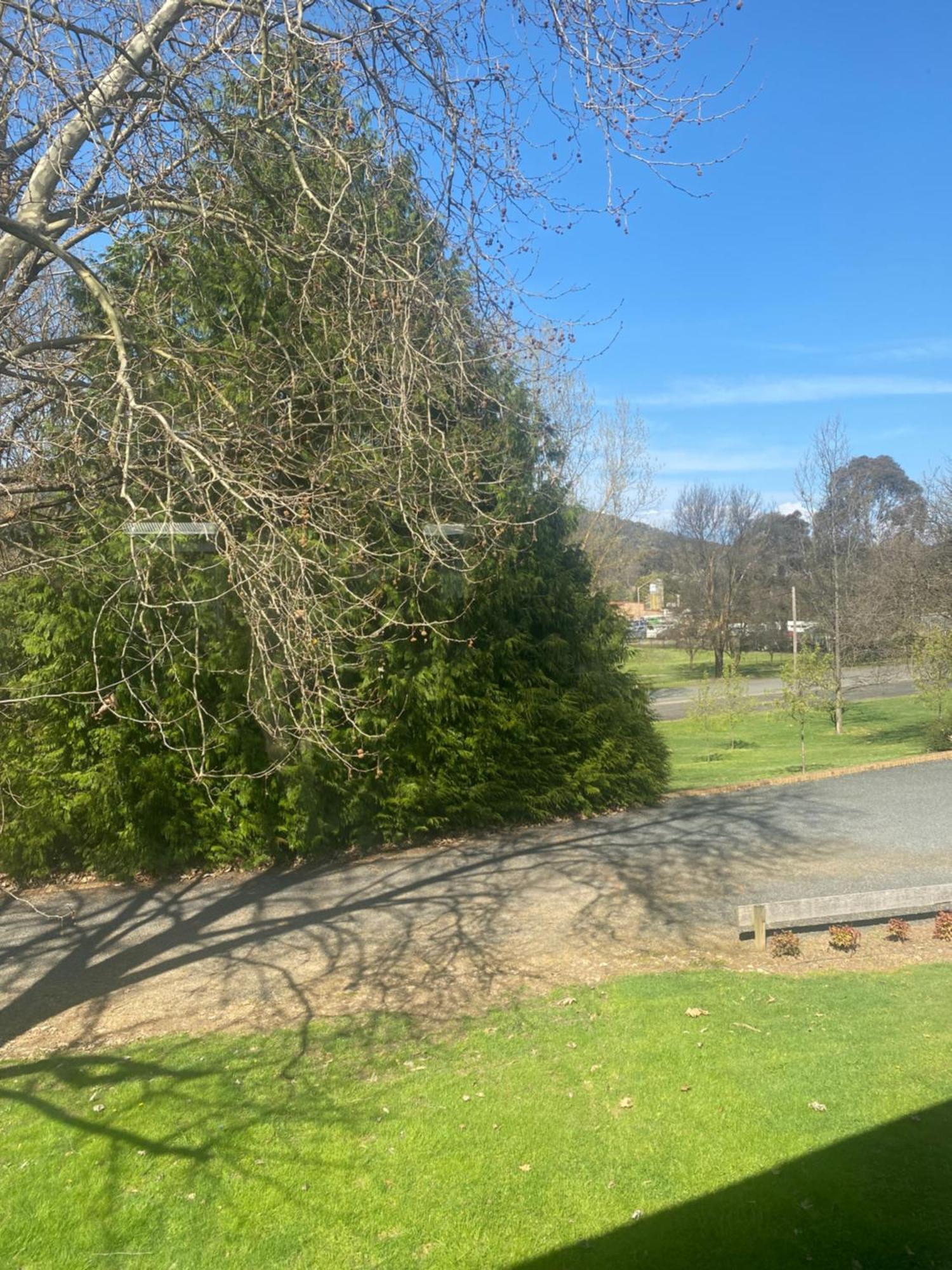 Tumbarumba Motel & Elms Restaurant Exterior photo